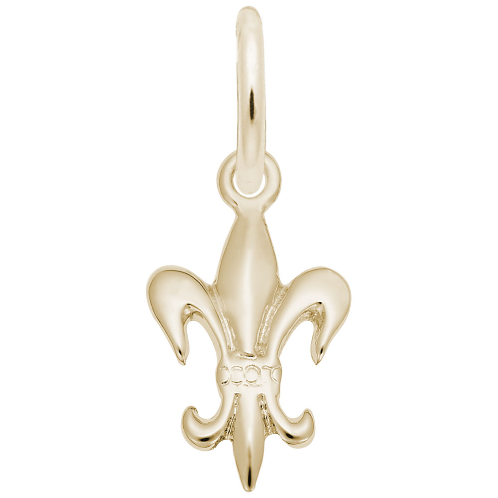 Fleur de Lis Accent Charm - Image 1
