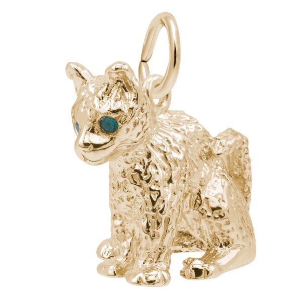 Cat with Stones Charm