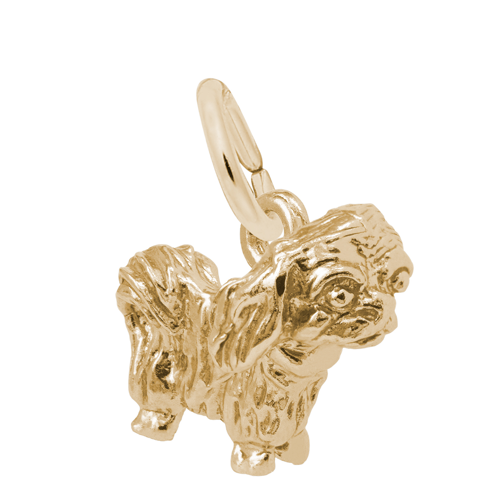 Pekingese Charm