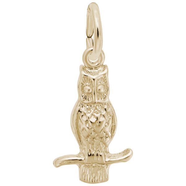 Long Eared Owl Charm