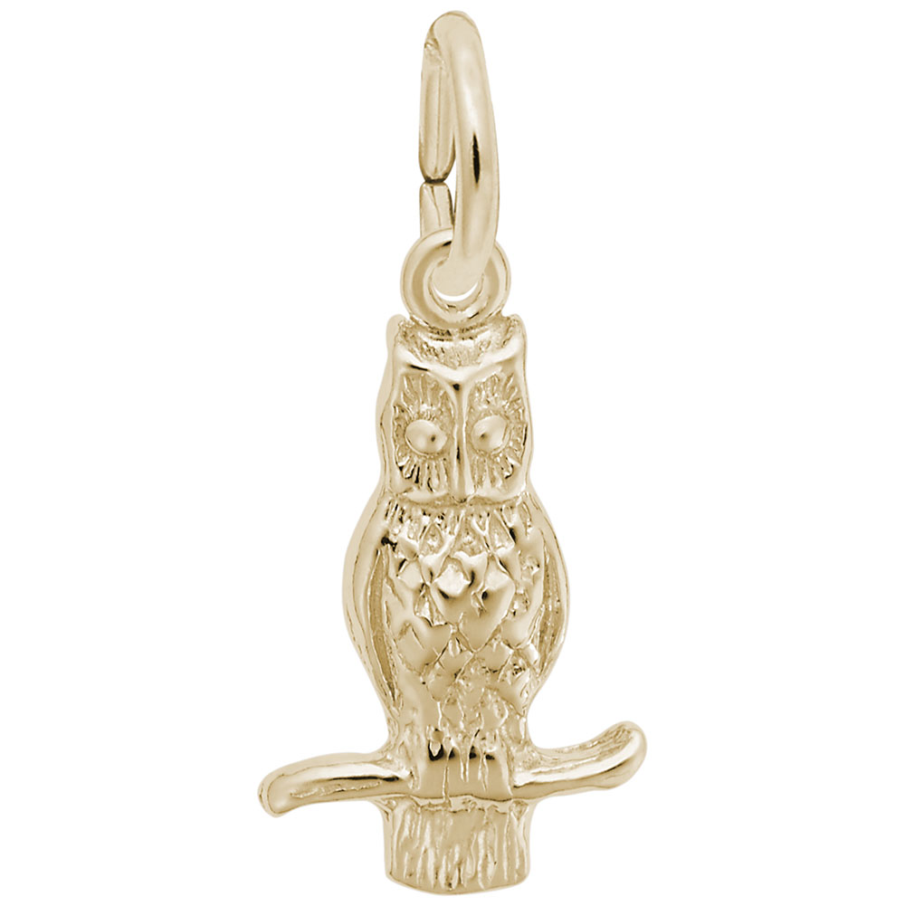 Long Eared Owl Charm - Image 1