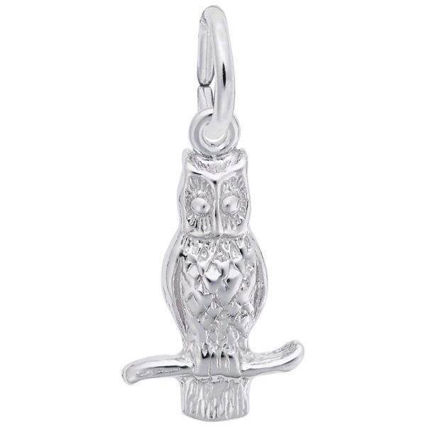 Long Eared Owl Charm