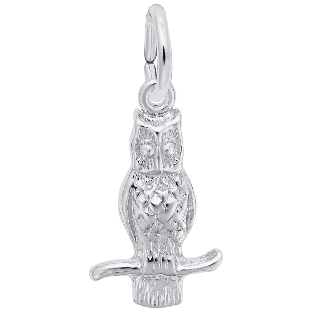 Long Eared Owl Charm