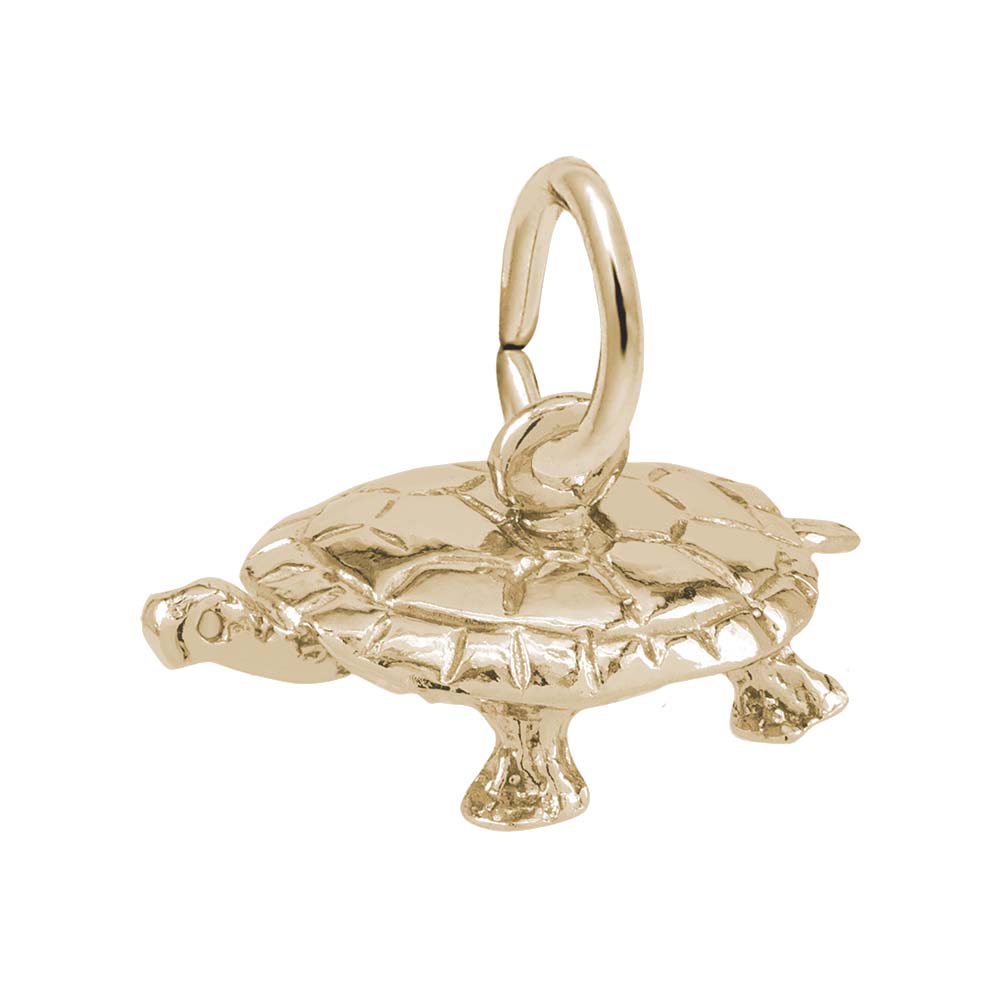 Turtle Charm