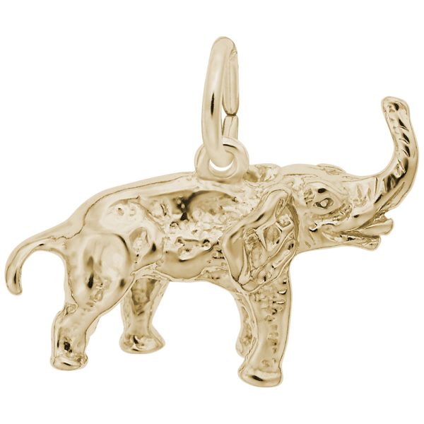 Asian Elephant Charm