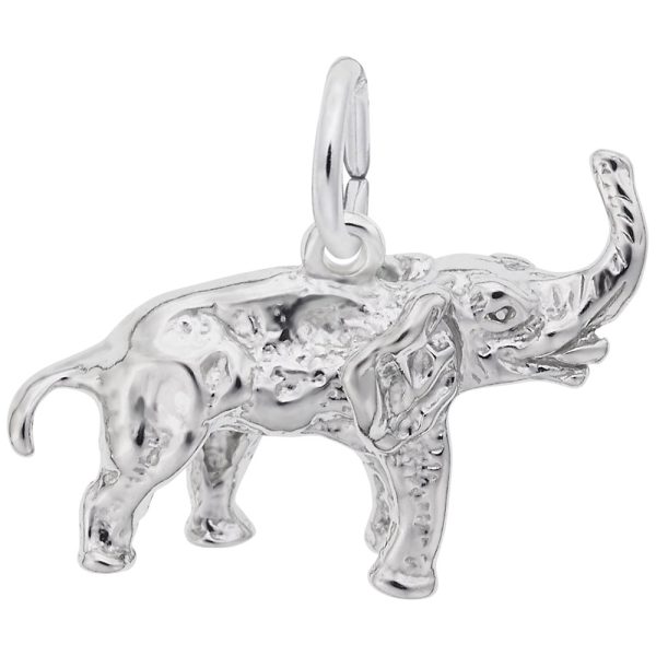 Asian Elephant Charm