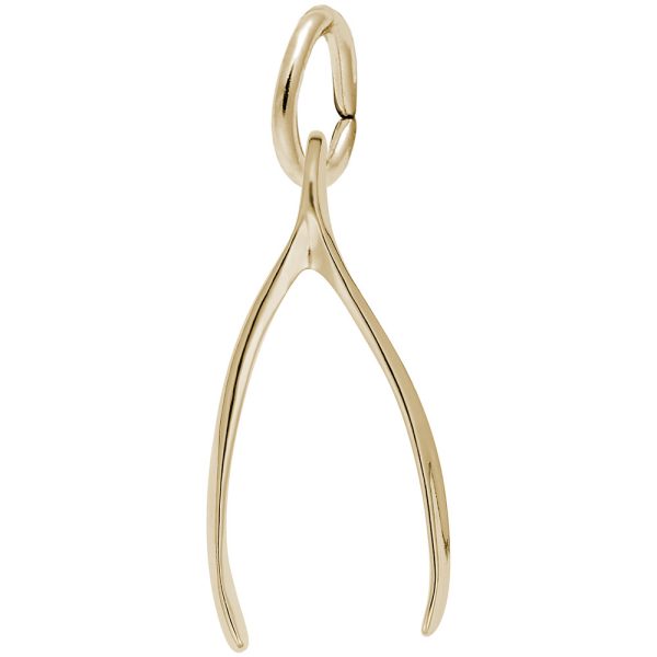 Wishbone Charm