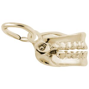 False Teeth Charm