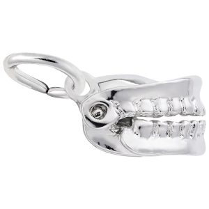 False Teeth Charm