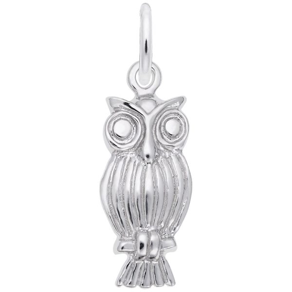 Screech Owl Charm