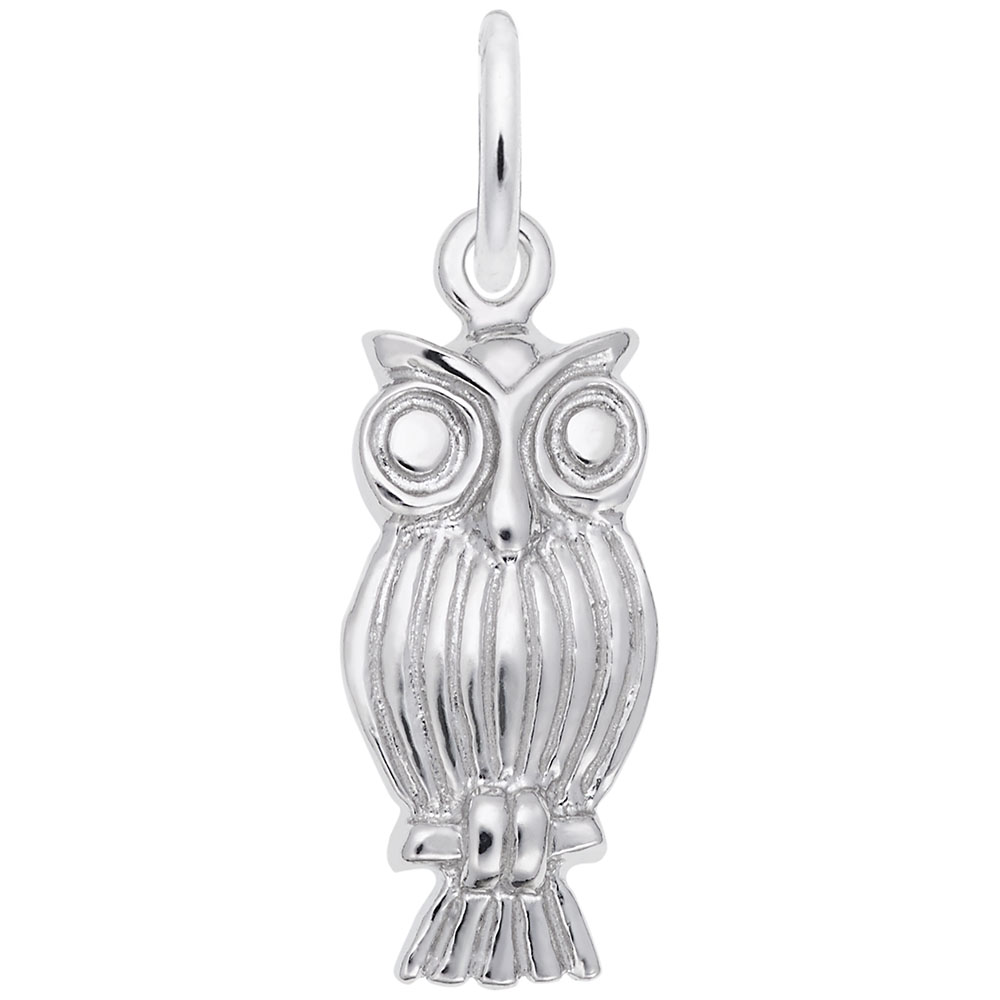 Screech Owl Charm