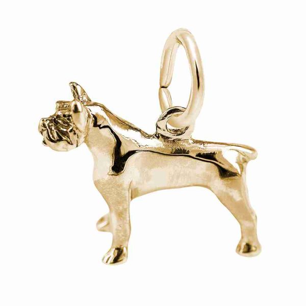 Pitbull Dog Charm