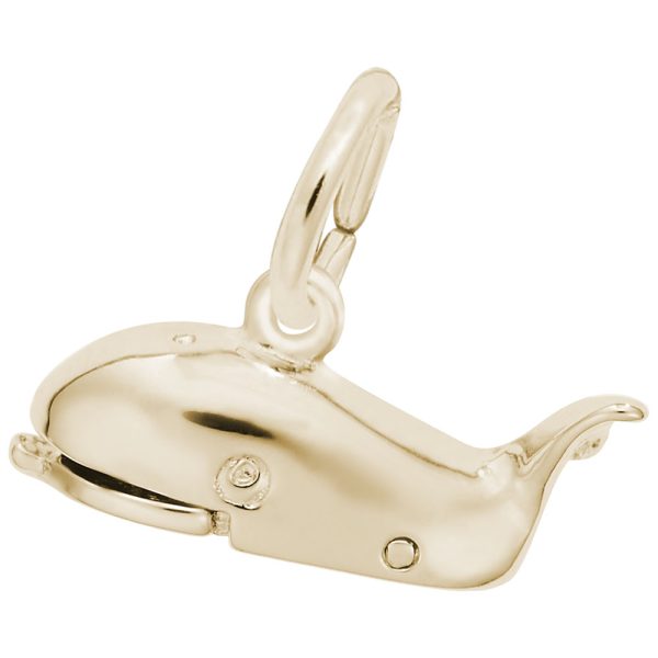 Jonah & the Whale Charm
