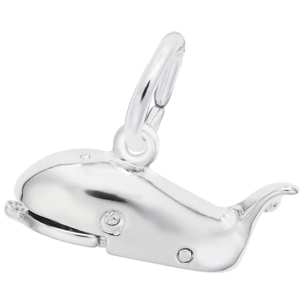 Jonah & the Whale Charm