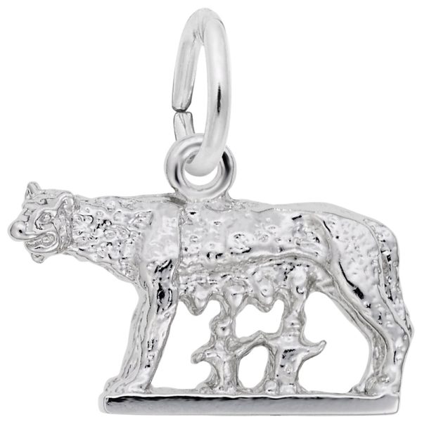 Romulus & Remus Charm