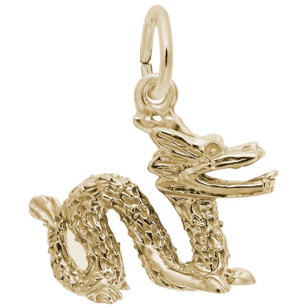 Chinese Serpent Dragon Charm