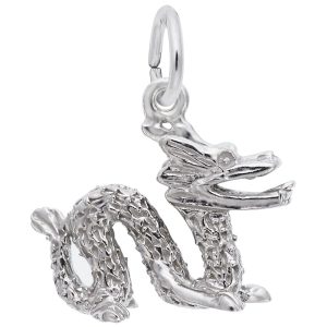 Chinese Serpent Dragon Charm
