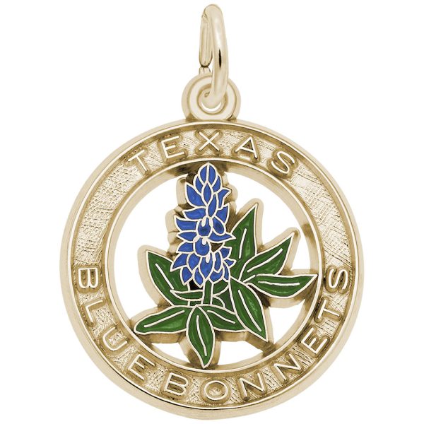 Texas Bluebonnets Charm