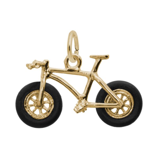 Fat Tire Bike