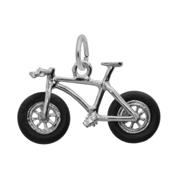 Fat Tire Bike