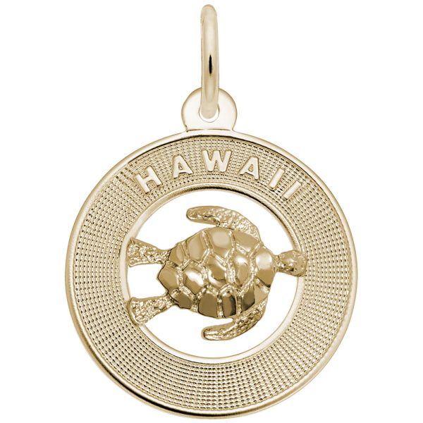 Hawaii W/Turtle
