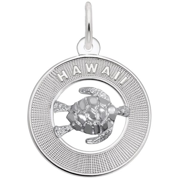 Hawaii W/Turtle