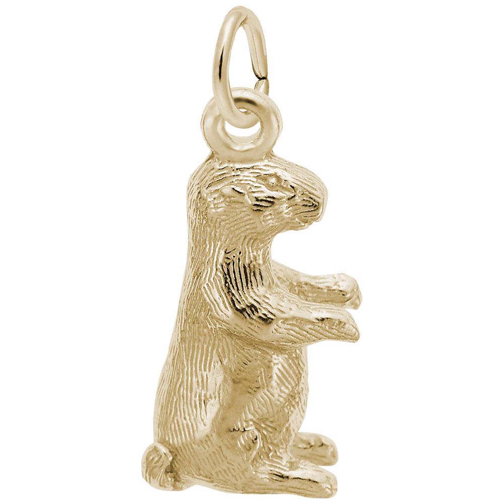 Groundhog Charm - Image 1