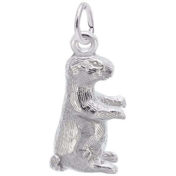 Groundhog Charm
