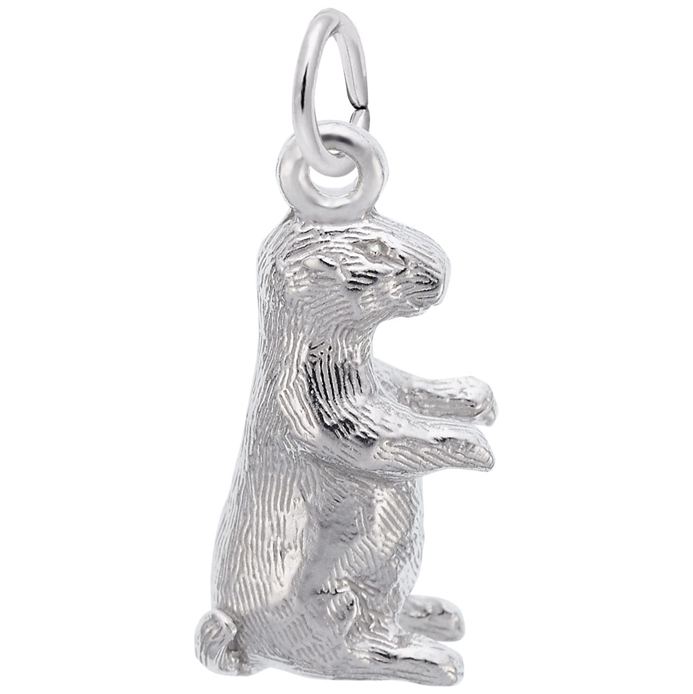 Groundhog Charm
