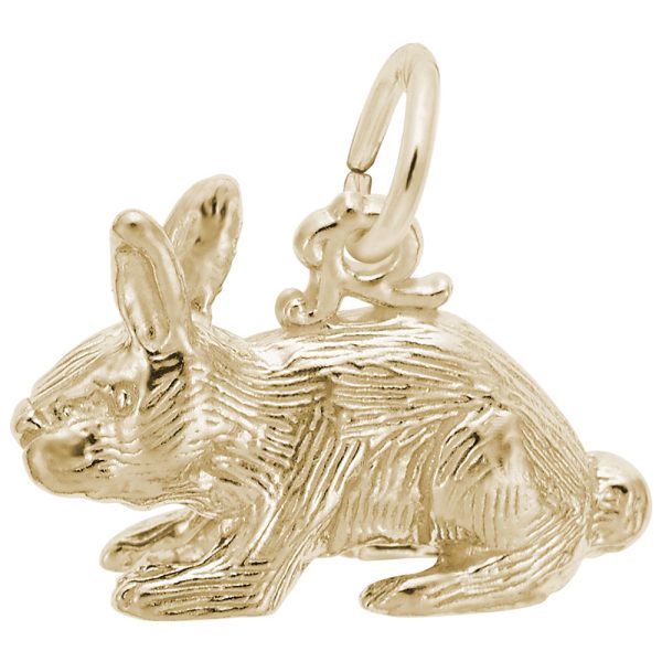 Rabbit Charm