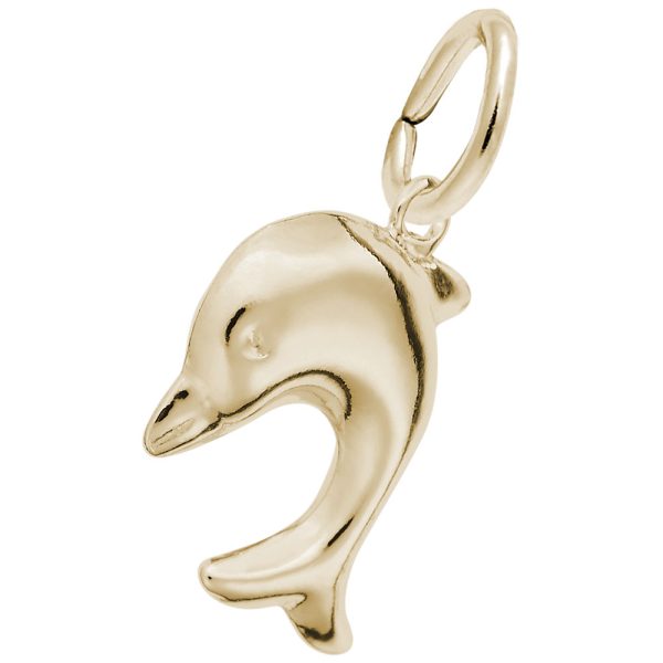 Diving Dolphin Charm