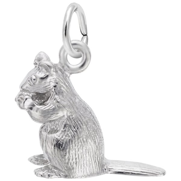 Chipmunk Charm