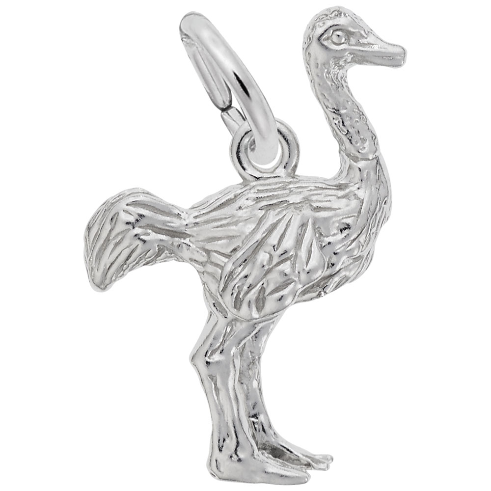 Ostrich Charm