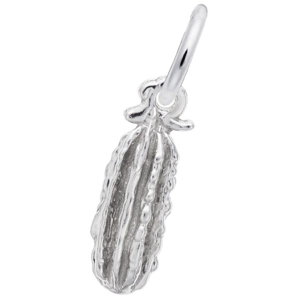 Pickle Charm