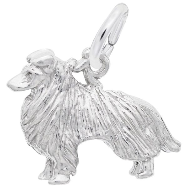 Collie Dog Charm
