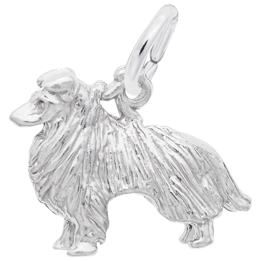 Collie Dog Charm