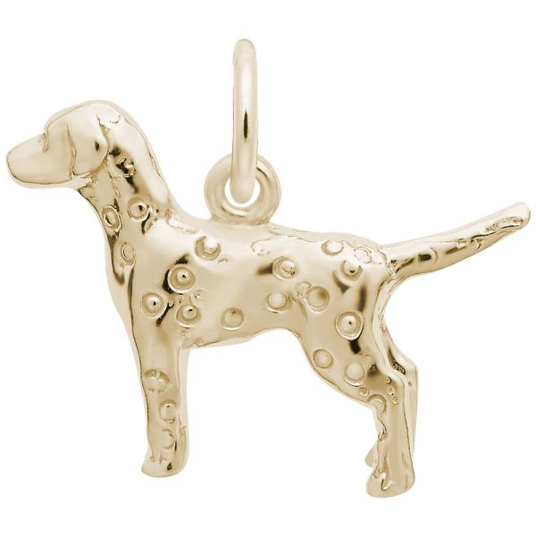 Dalmatian Dog Charm