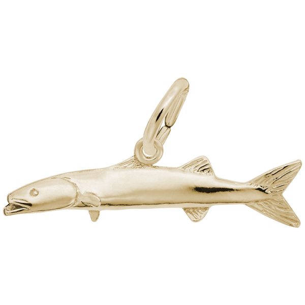 Barracuda Charm