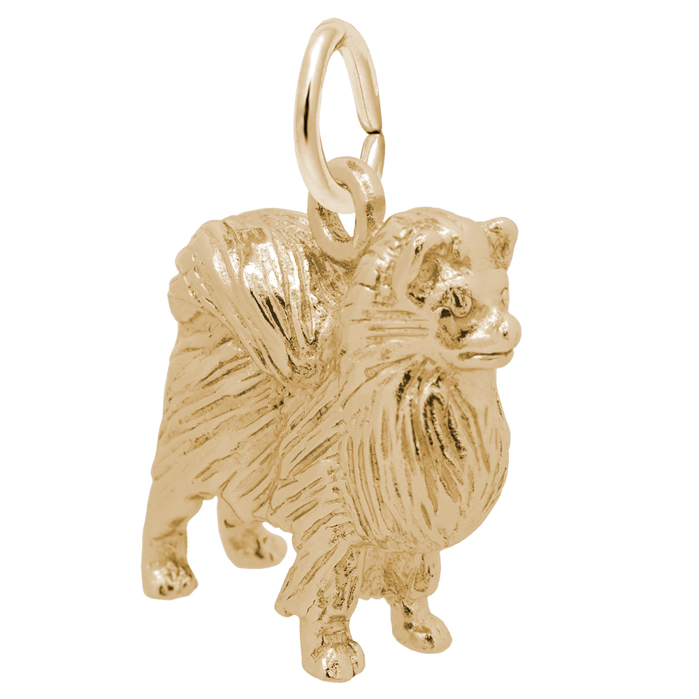 Pomeranian Charm