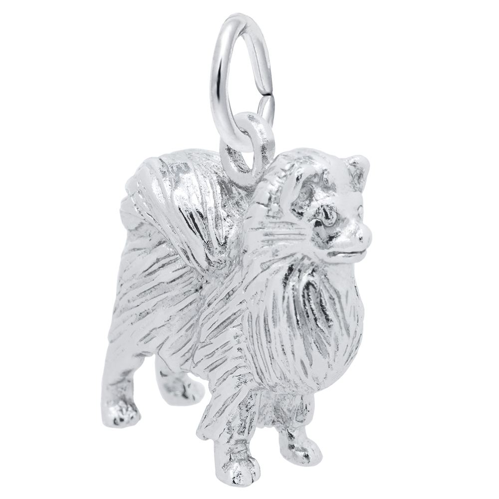 Pomeranian Charm