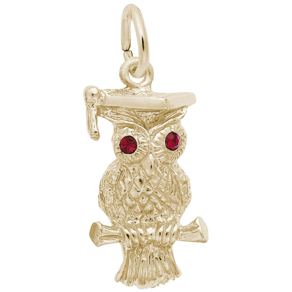 Graduation Owl Charm - Image 1