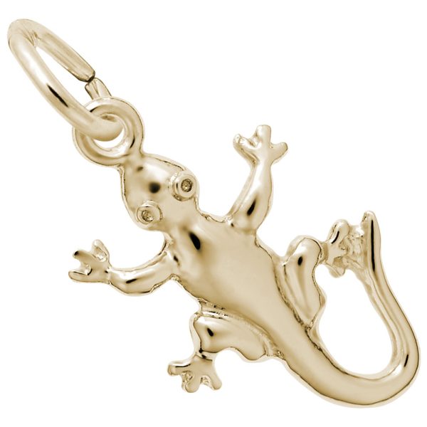 Gecko Charm