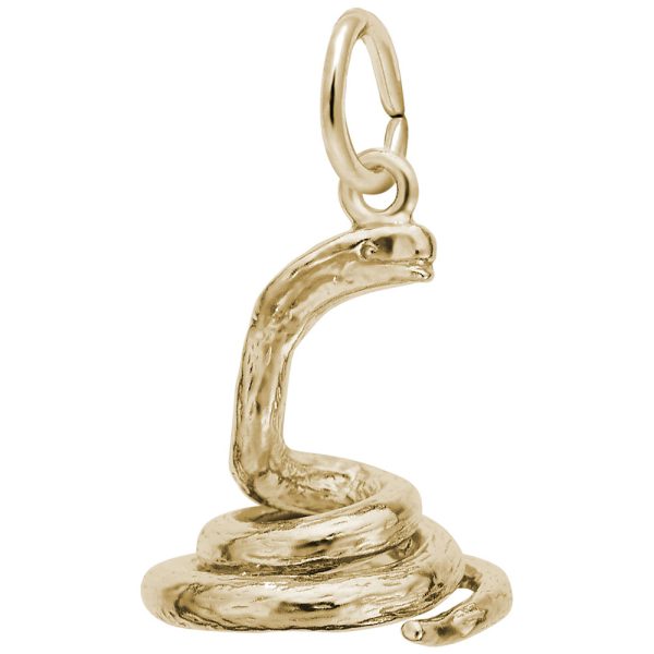 Cobra Charm