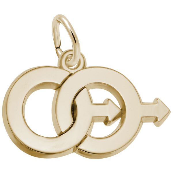 Male Twins Charm