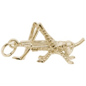 Grasshopper Charm