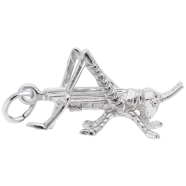 Grasshopper Charm