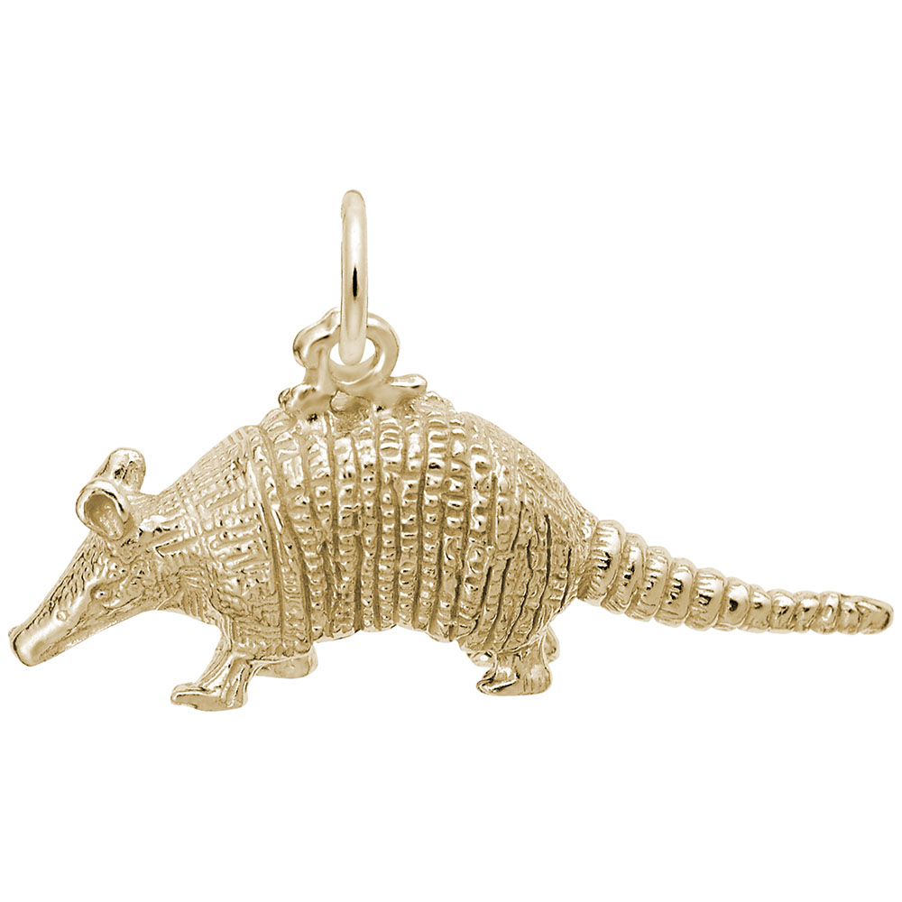 Armadillo Charm - Image 1