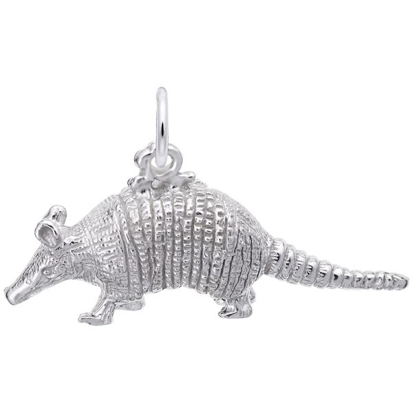 Armadillo Charm