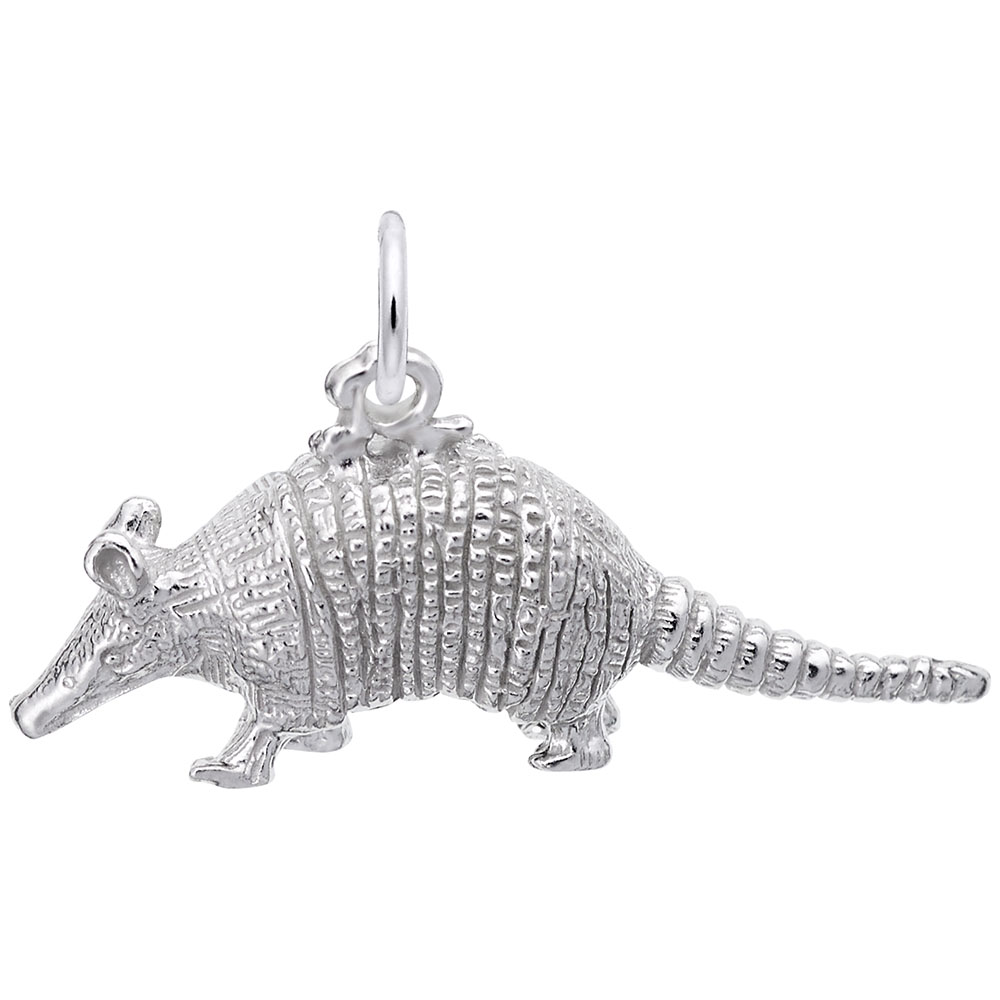 Armadillo Charm