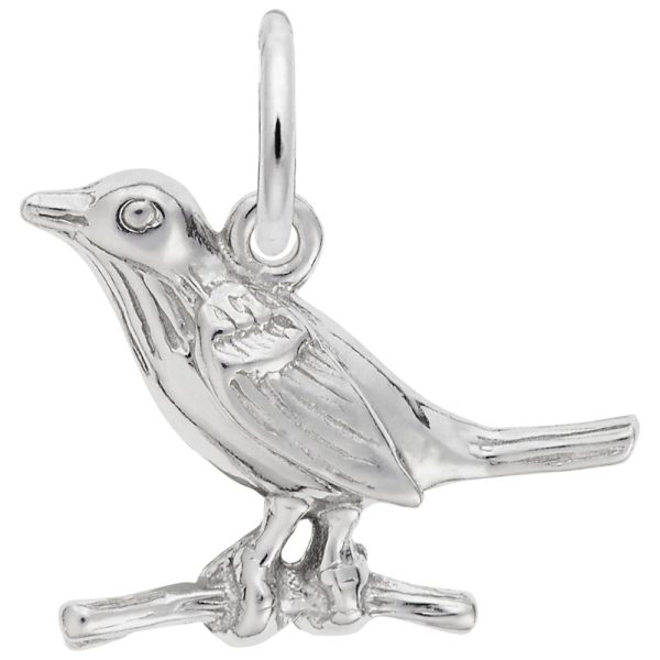 Robin Charm